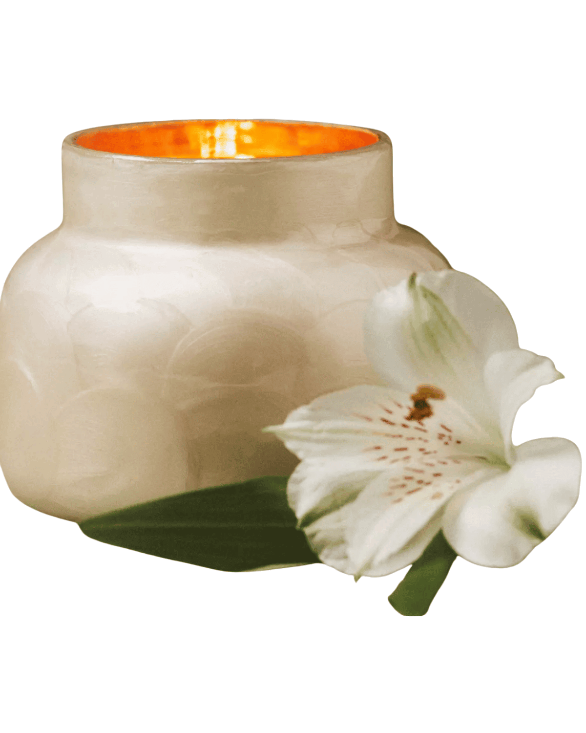 A lit white candle in a round holder, accompanied by a single white lily and green leaves, creates an elegant setting perfect for Valentine's for Her against a plain background.