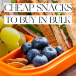 An orange tray with blueberries, almonds, grapes, and a sandwich. Text overlay reads "Kid-Approved Cheap Snacks to Buy in Bulk" and "The Bargain Sisters." Discover cool baking gadgets that make snack prep even easier for busy parents.