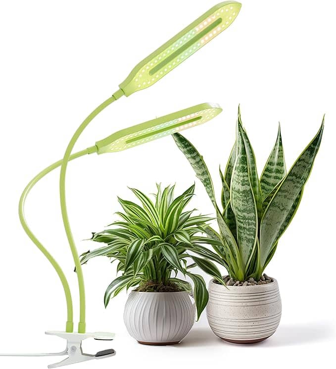 A green clip-on LED plant light with two adjustable arms shines brightly on two potted plants. One features long, narrow leaves; the other boasts broader, arching ones. Snag this chic illuminator for your greenery with our special Friday Deals! Both sit in round, decorative pots.