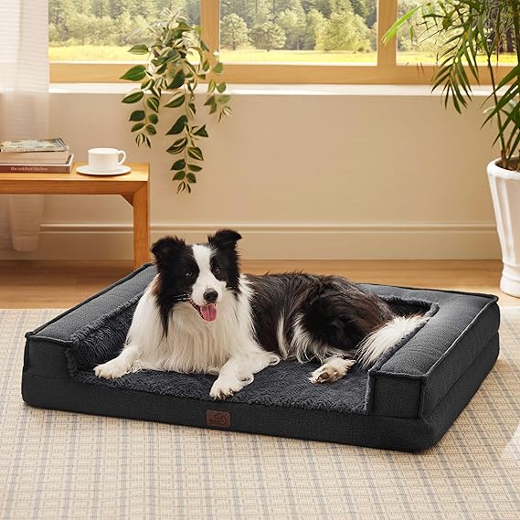 A black and white dog lies comfortably on a plush, rectangular bed in a sunlit living room. The room, perfect for unwinding after exploring Friday Deals, features a large window with a view of greenery, a wooden table with a book and cup, and a potted plant.