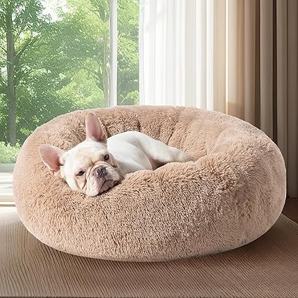 A small dog with pointy ears is curled up comfortably in a fluffy, beige pet bed by a large window. The view of green trees outside is serene, and soft natural light filters through sheer curtains—perfect for this peaceful Tuesday deals browsing spot.