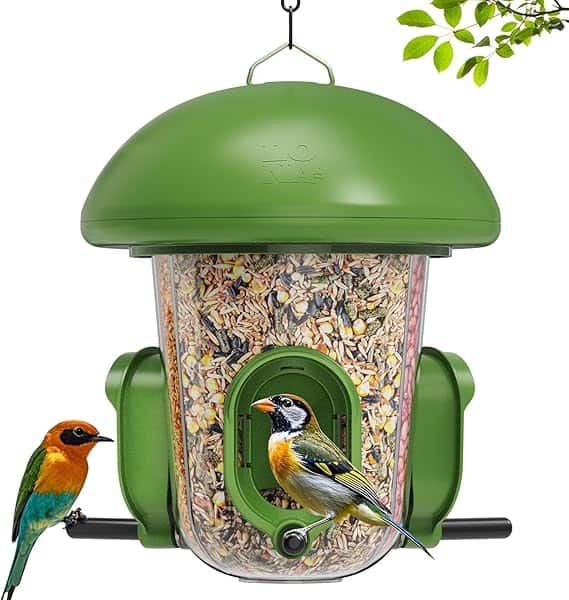 A green bird feeder brimming with mixed seeds swings gently from the branch, enticing two colorful birds. One sits on the feeder's perch, while the other waits nearby. Lush green leaves peek into view, capturing a serene moment that feels like a treasure found in Wednesday Deals.