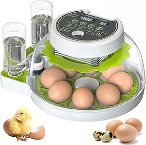 Discover amazing savings with our Tuesday Deals on this digital egg incubator, featuring two water containers and a clear display. With six eggs inside, witness the wonder of life as a hatched chick joins chicken and quail eggs beside this efficient device.